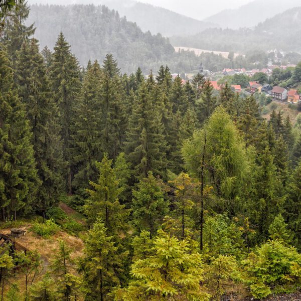 Bergbaulehrpfad, Blick auf Lautenthal