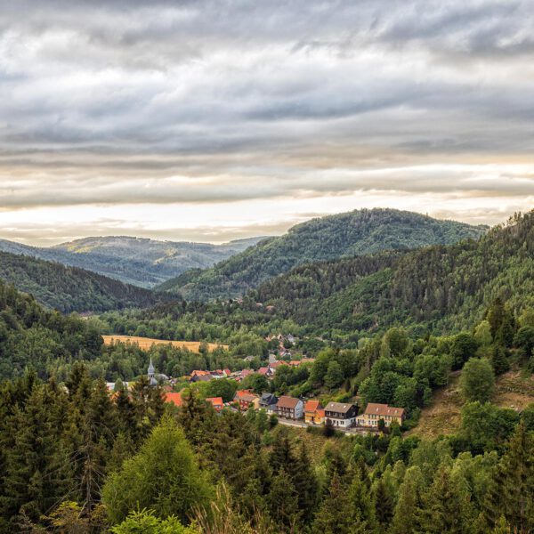 Blick auf Lautenthal