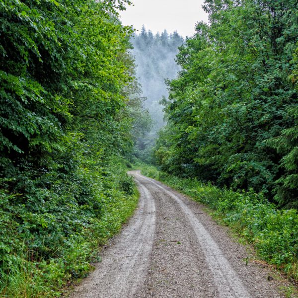 Wandern im Harz