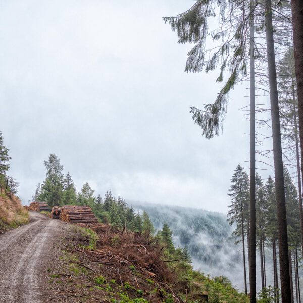 Wandern im Harz