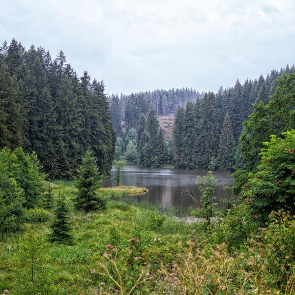 Grumbacher Teich im Harz