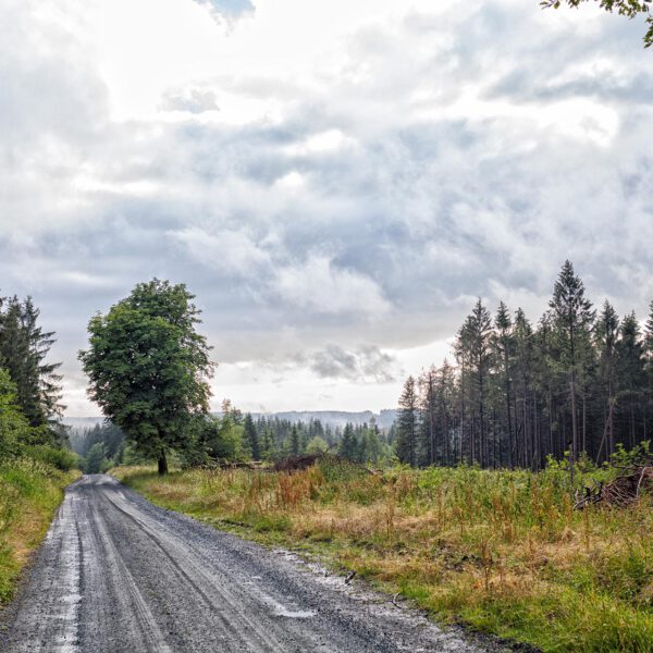 Wandern im Harz