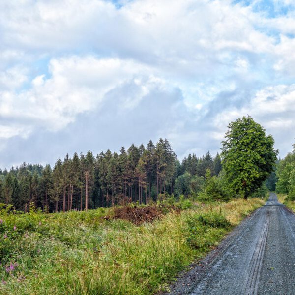 Wandern im Harz