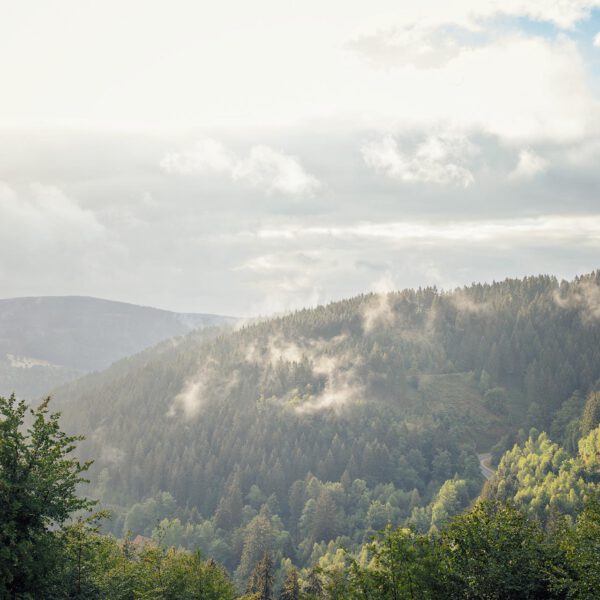 Wandern im Harz