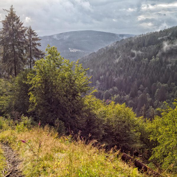 Wandern im Harz