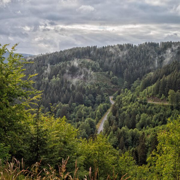 Wandern im Harz