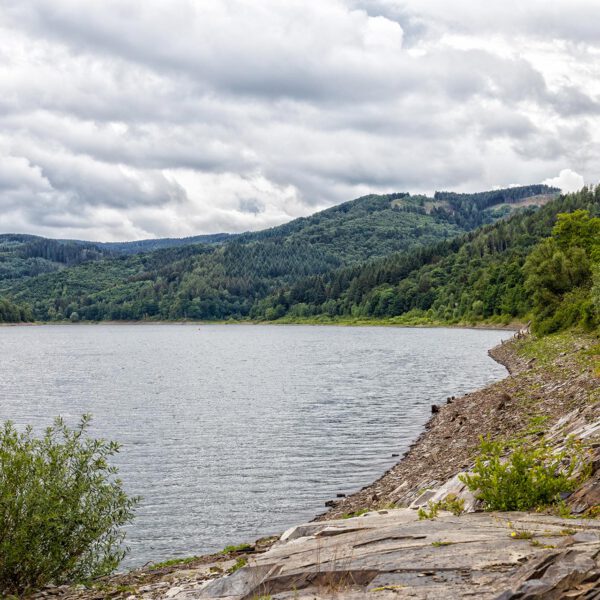 Innerstestausee