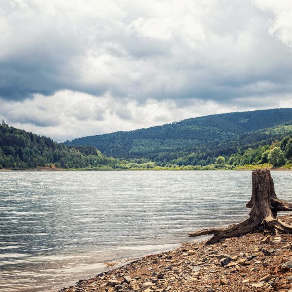 Wandern um den Innerstestausee