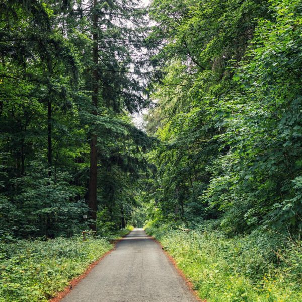 Wandern um den Innerstestausee