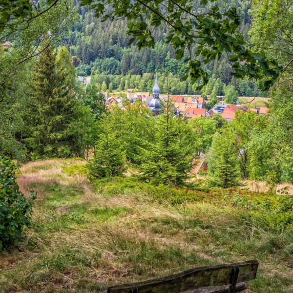 Wandern um Lautenthal