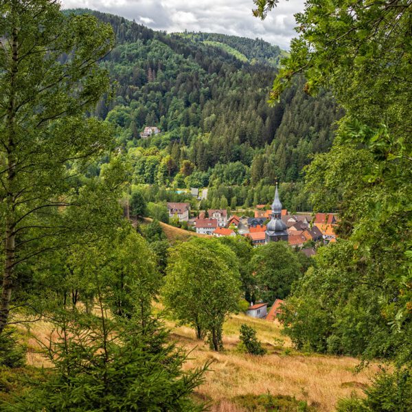 Wandern um Lautenthal