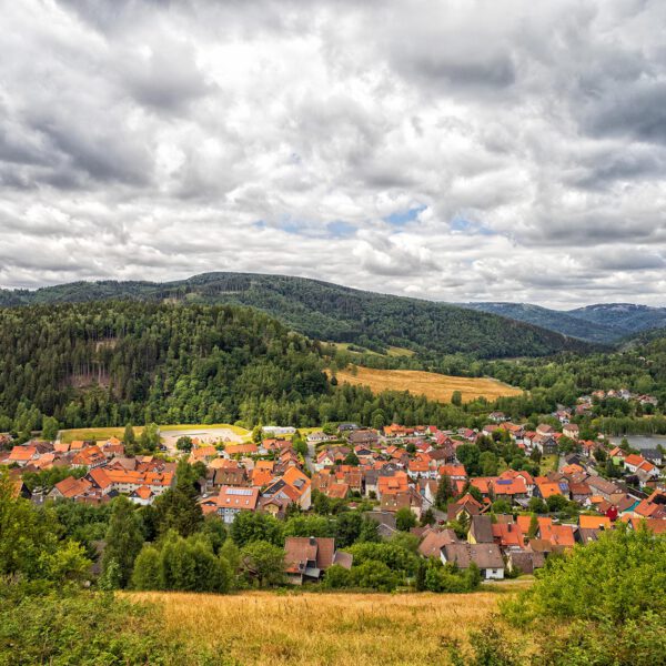 Wandern um Lautenthal