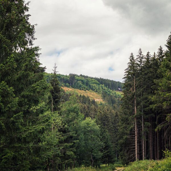 Wandern im Harz