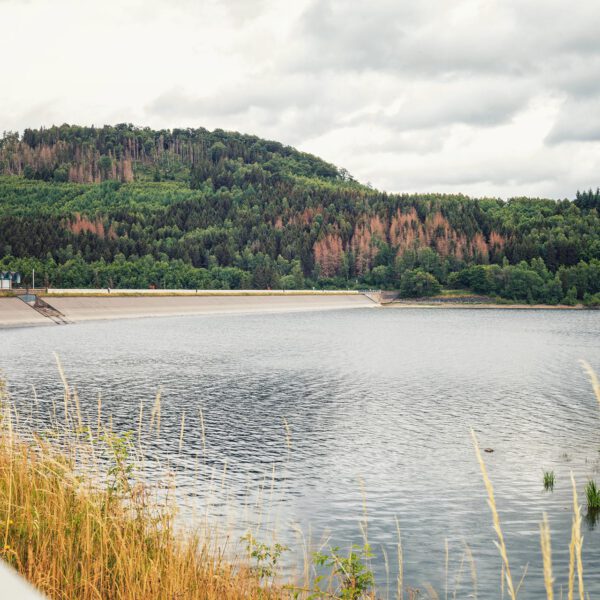 Wandern um den Granestausee